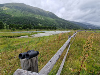 Lake Gravatscha and Inn Wetlands